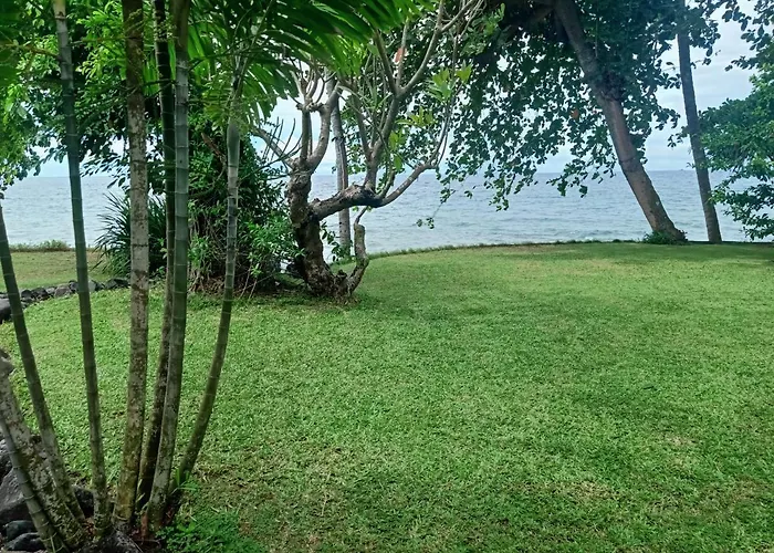 Palm Bali *
