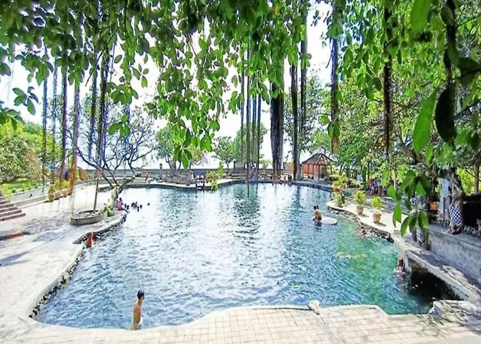 Palm Bali Villa Singaraja