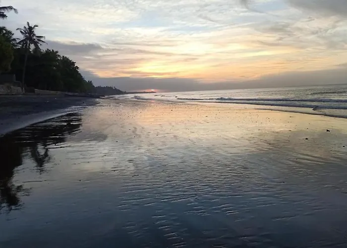 Palm Bali * Singaraja