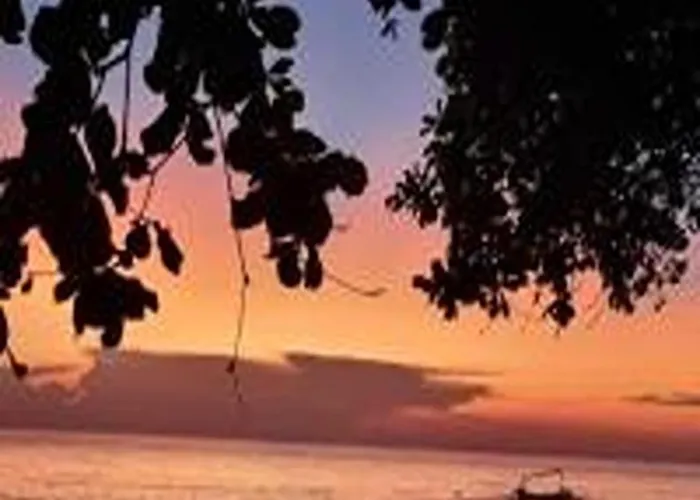 Villa Palm Bali Singaraja