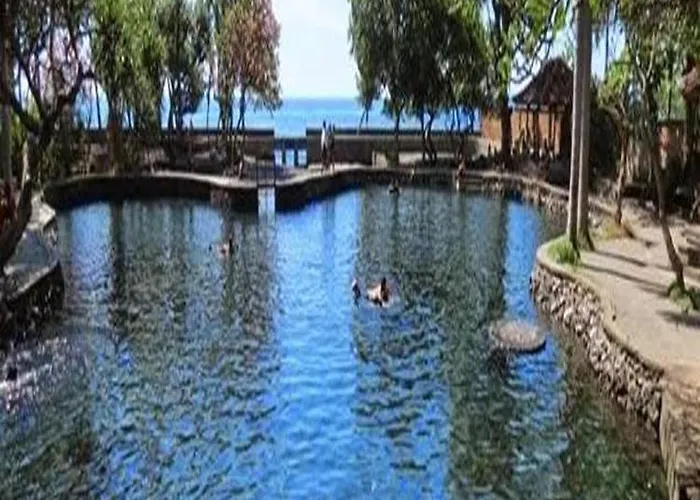 Palm Bali Villa Singaraja