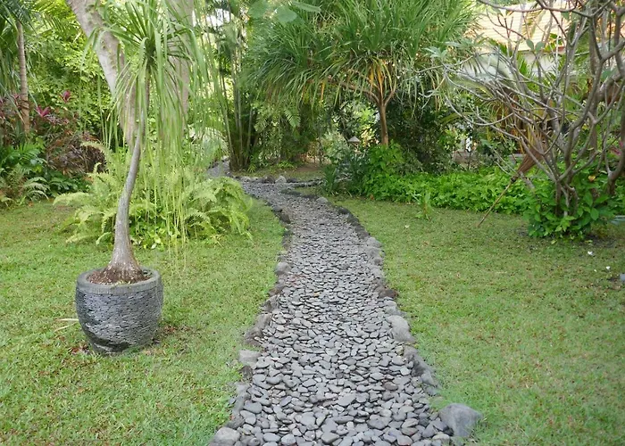 Palm Bali *