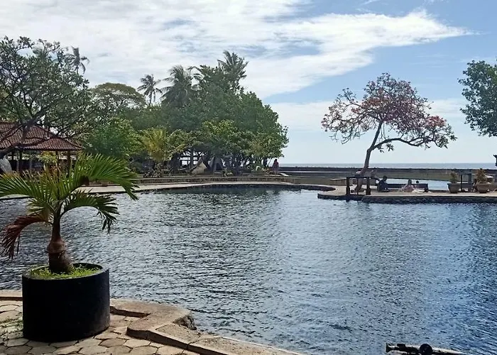 Palm Bali