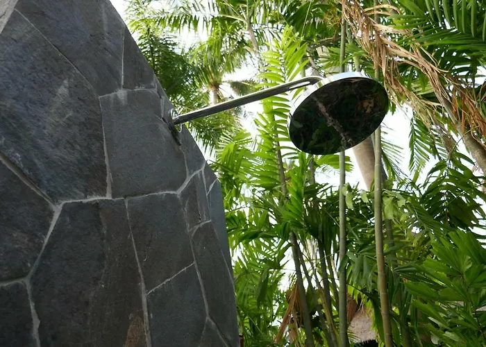 Villa Palm Bali Singaraja