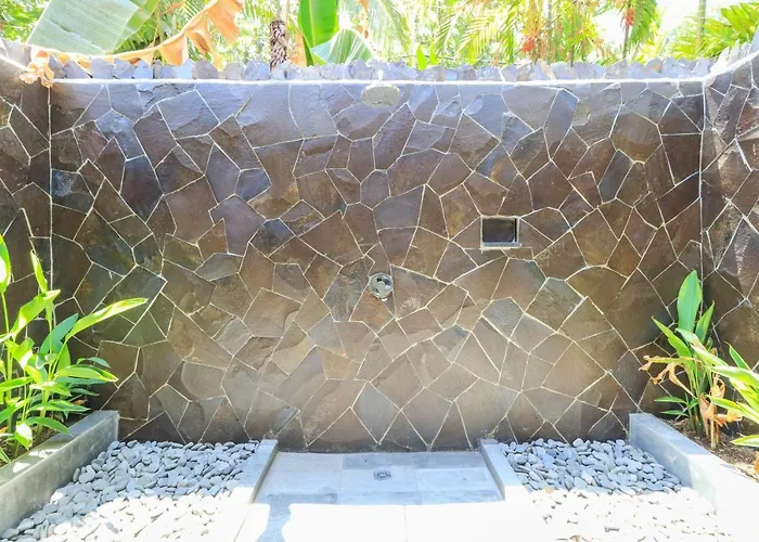 Palm Bali *