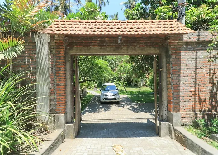 Palm Bali *