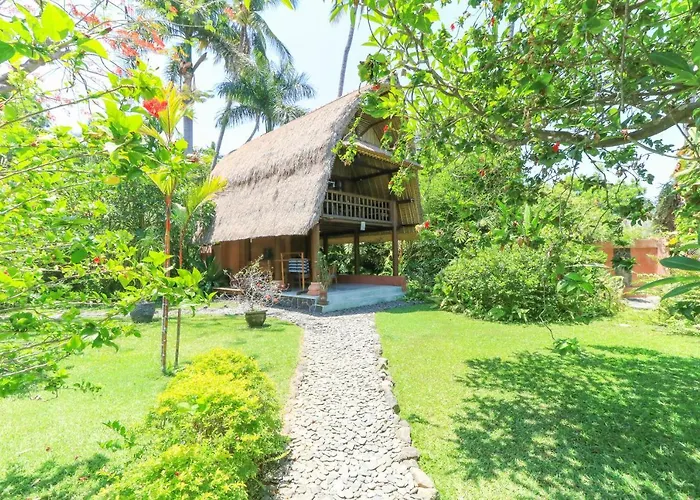 Palm Bali