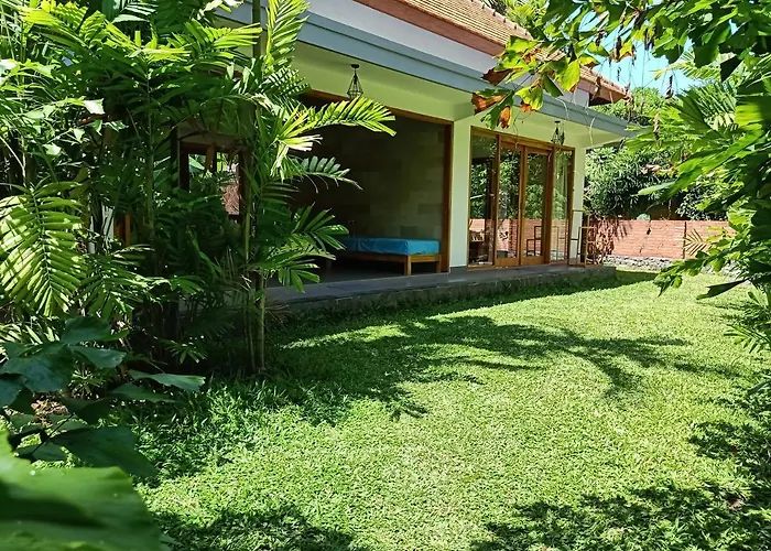 Palm Bali